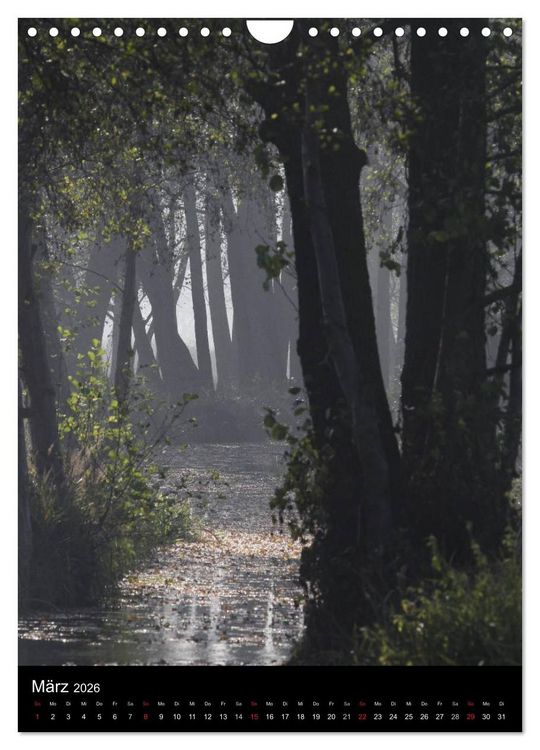 Produktbild: Wunderbarer Spreewald (Wandkalender 2026 DIN A4 hoch), CALVENDO Monatskalender