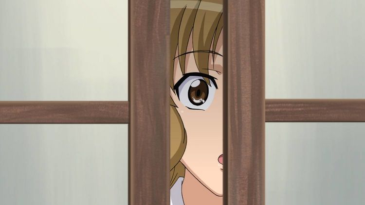 Produktbild: Hentai Collection Vol. 03 (3 Filme)