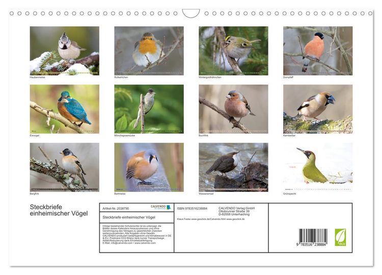 Produktbild: Steckbriefe einheimischer V&ouml;gel (Wandkalender 2026 DIN A3 quer), CALVENDO Monatskalender