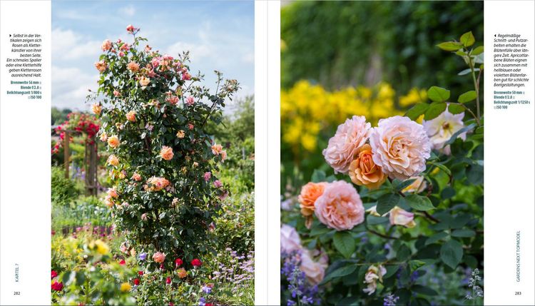 Produktbild: Garten-Shooting