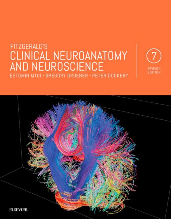 Produktbild: Fitzgerald's Clinical Neuroanatomy and Neuroscience E-Book