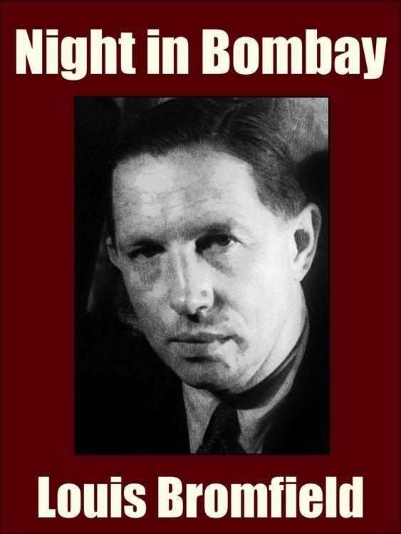 Produktbild: Night in Bombay