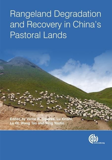 Produktbild: Rangeland Degradation and Recovery in China's Pastoral Lands