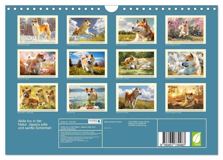 Produktbild: Akita Inu in der Natur. Japans edle und sanfte Sch&ouml;nheit (Wandkalender 2026 DIN A4 quer), CALVENDO Monatskalender