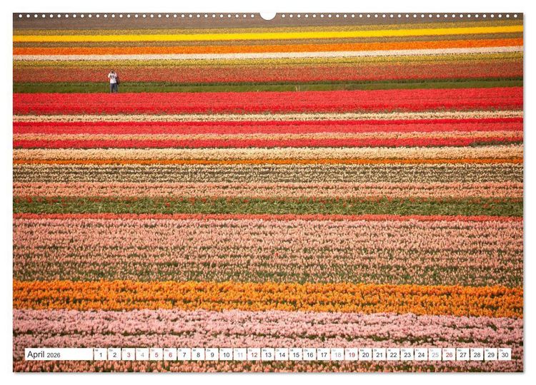 Produktbild: Die ganze Vielfalt der Niederlande (hochwertiger Premium Wandkalender 2026 DIN A2 quer), Kunstdruck in Hochglanz