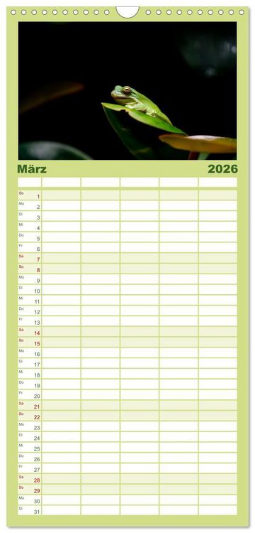 Produktbild: Familienplaner 2026 - Reptilien & Amphibien Portraits mit 5 Spalten (Wandkalender, 21 x 45 cm) CALVENDO