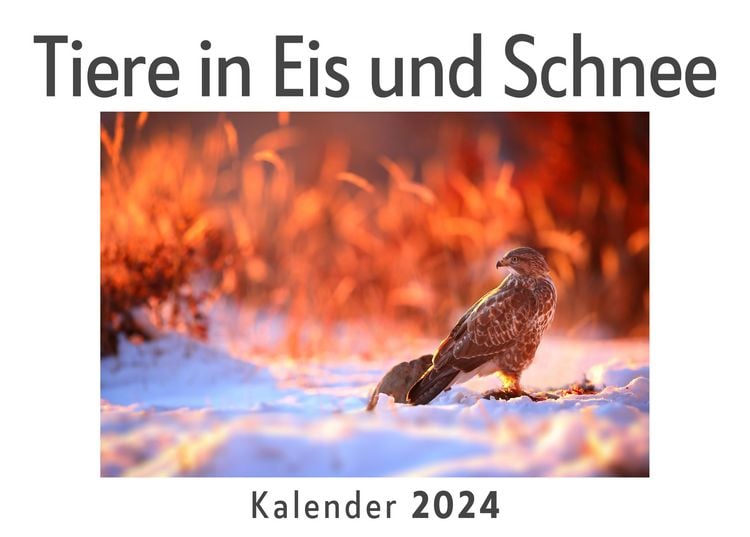 Produktbild: Tiere in Eis und Schnee (Wandkalender 2024, Kalender DIN A4 quer, Monatskalender im Querformat mit Kalendarium, Das perfekte Geschenk)