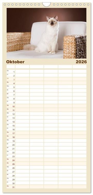 Produktbild: Familienplaner 2026 - Zauberhafte Ragdolls mit 5 Spalten (Wandkalender, 21 x 45 cm) CALVENDO