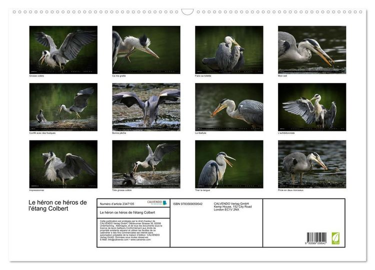Produktbild: Le h&eacute;ron ce h&eacute;ros de l'&eacute;tang Colbert (Calendrier mural 2027 DIN A2 vertical), CALVENDO calendrier mensuel