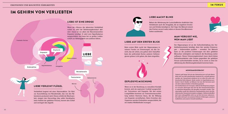Produktbild: Eine Reise durch unser Gehirn