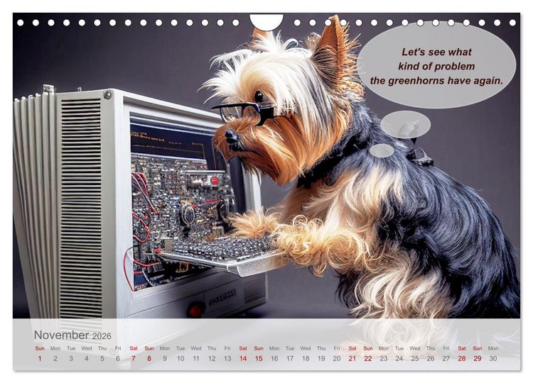 Produktbild: You really think you are an IT expert (Wall Calendar 2026 DIN A4 landscape), CALVENDO 12 Month Wall Calendar