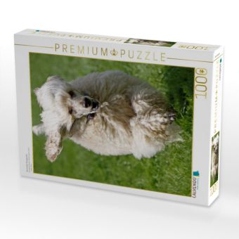 Produktbild: CALVENDO Puzzle Rennender K&ouml;nigspudel | 1000 Teile Lege-Gr&ouml;&szlig;e 64x48cm Foto-Puzzle f&uuml;r gl&uuml;ckliche Stunden