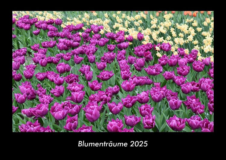 Produktbild: Blumentr&auml;ume 2025 Fotokalender DIN A3