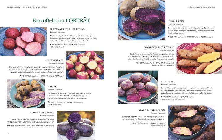 Produktbild: Das gro&szlig;e Garten-Gem&uuml;se-Buch