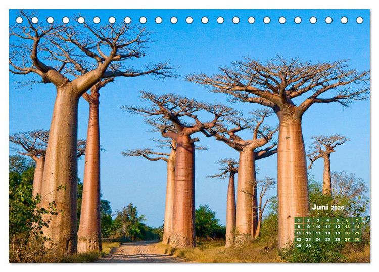 Produktbild: Alleen: Der Weg ist das Ziel (Tischkalender 2026 DIN A5 quer), CALVENDO Monatskalender