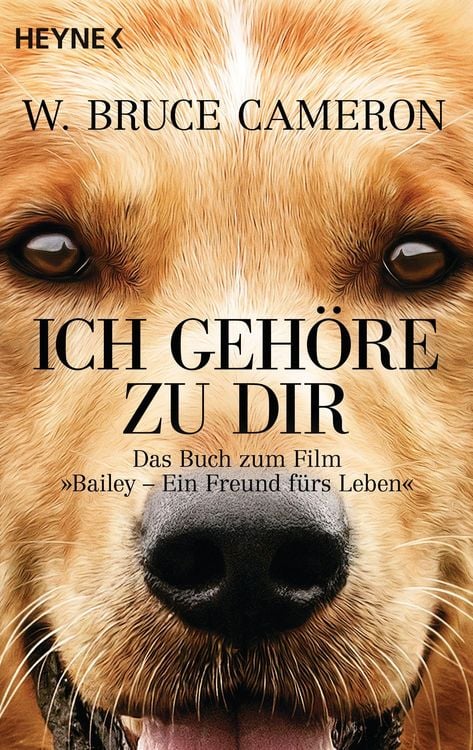 Produktbild: Ich geh&ouml;re zu dir