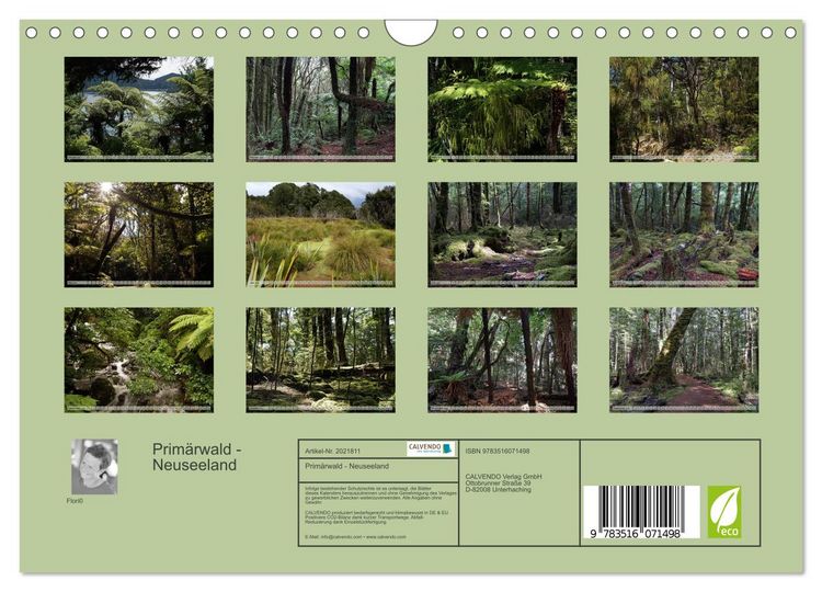 Produktbild: Prim&auml;rwald - Neuseeland (Wandkalender 2026 DIN A4 quer), CALVENDO Monatskalender