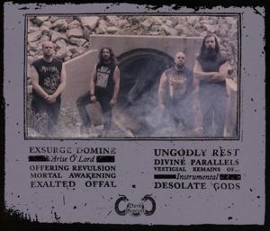 Produktbild: Desolate Gods