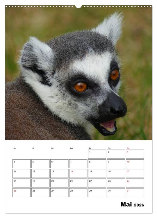 Produktbild: Katta Terminplaner (Wandkalender 2026 DIN A2 hoch), CALVENDO Monatskalender