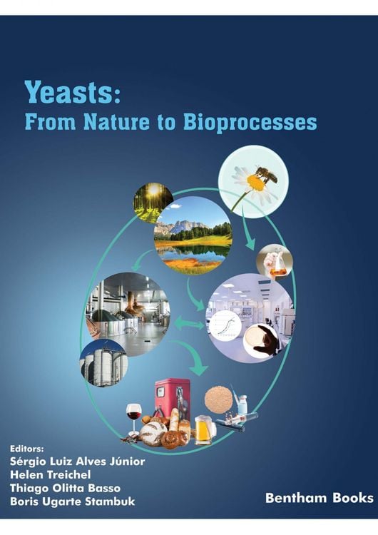 Produktbild: Yeasts: From Nature to Bioprocesses