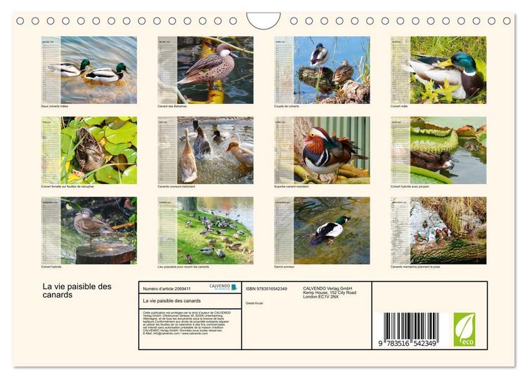 Produktbild: La vie paisible des canards (Calendrier mural 2026 DIN A4 vertical), CALVENDO calendrier mensuel