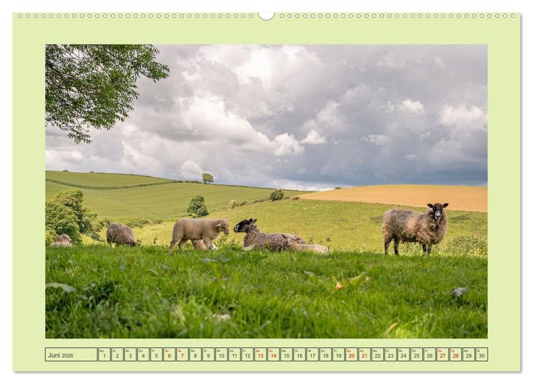 Produktbild: S&uuml;dengland pur (hochwertiger Premium Wandkalender 2026 DIN A2 quer), Kunstdruck in Hochglanz
