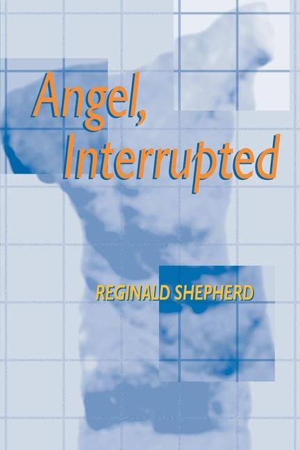 Produktbild: Angel Interrupted