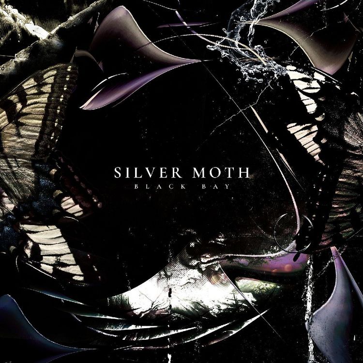 Produktbild: Silver Moth: Black Bay