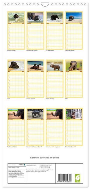 Produktbild: Familienplaner 2026 - Elefanten. Badespa&szlig; am Strand mit 5 Spalten (Wandkalender, 21 x 45 cm) CALVENDO
