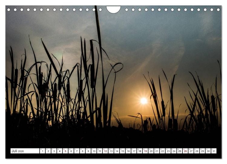 Produktbild: Osterholz-Scharmbeck, Natur-Impressionen aus dem Teufelsmoor (Wandkalender 2026 DIN A4 quer), CALVENDO Monatskalender
