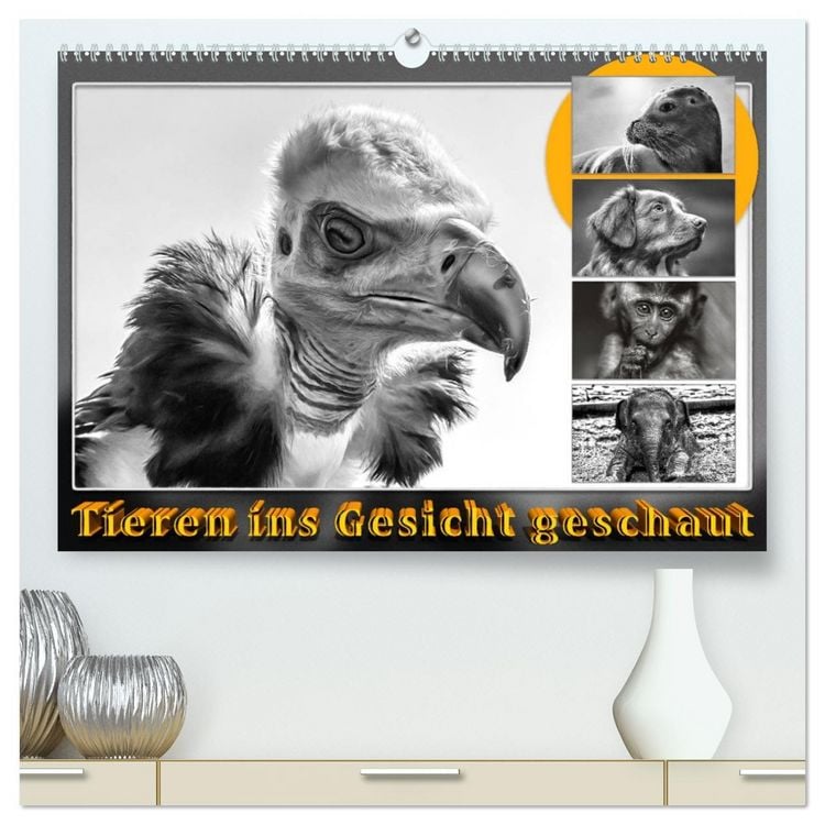 Produktbild: Tieren ins Gesicht geschaut (hochwertiger Premium Wandkalender 2026 DIN A2 quer), Kunstdruck in Hochglanz