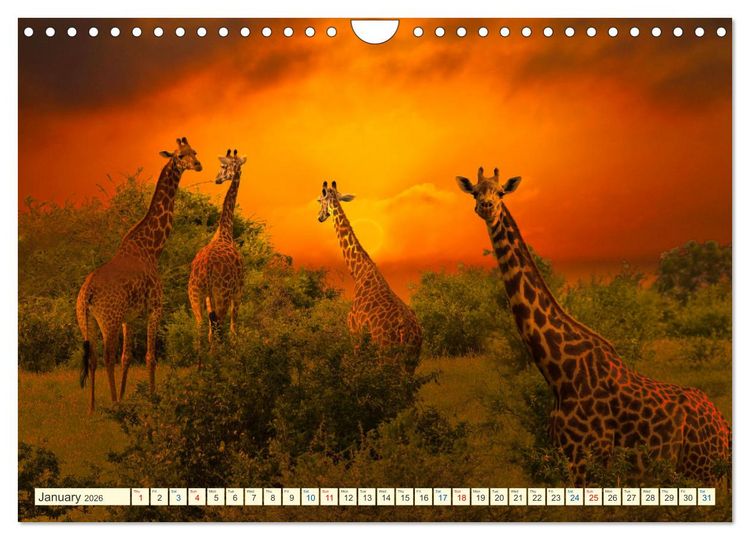 Produktbild: Fantastic Kenya (Wall Calendar 2026 DIN A4 landscape), CALVENDO 12 Month Wall Calendar