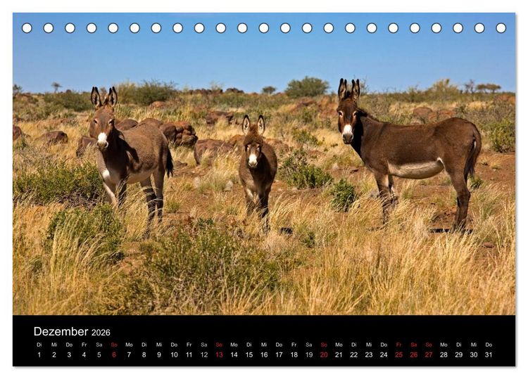 Produktbild: Namibias Tiere: von gro&szlig; bis klein (Tischkalender 2026 DIN A5 quer), CALVENDO Monatskalender