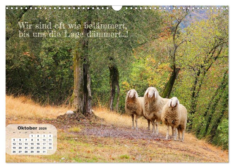 Produktbild: Tierisch und Heiter - Das Leben geht weiter 2026 (Wandkalender 2026 DIN A3 quer), CALVENDO Monatskalender