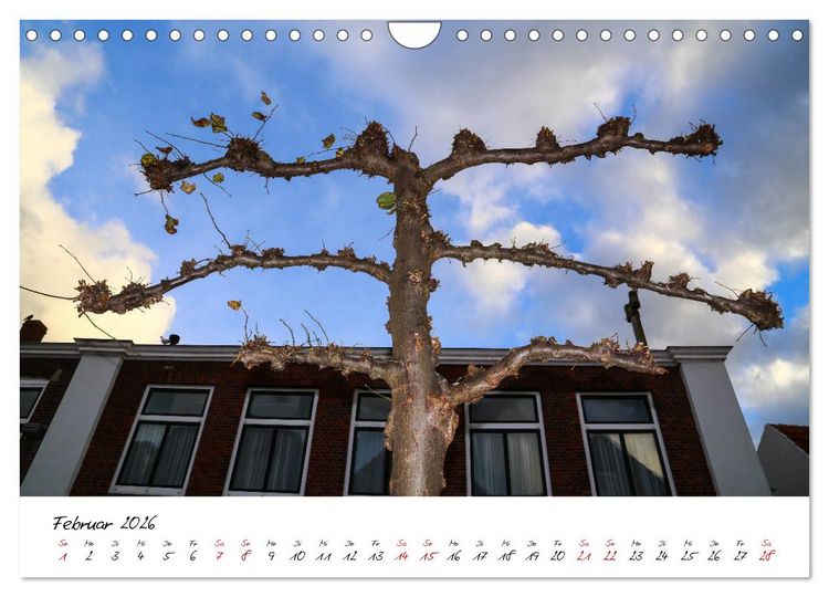 Produktbild: Das Seebad Domburg (Wandkalender 2026 DIN A4 quer), CALVENDO Monatskalender