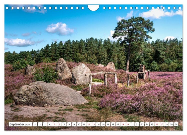 Produktbild: L&uuml;neburger Heide: Die Nordheide (Wandkalender 2026 DIN A4 quer), CALVENDO Monatskalender