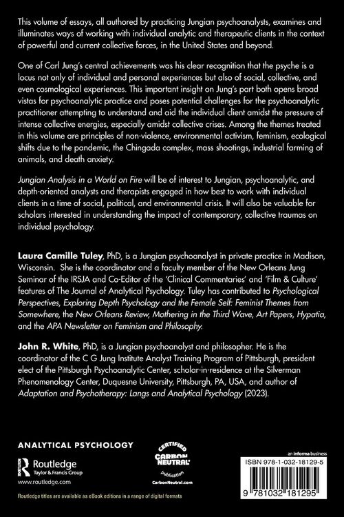 Produktbild: Jungian Analysis in a World on Fire
