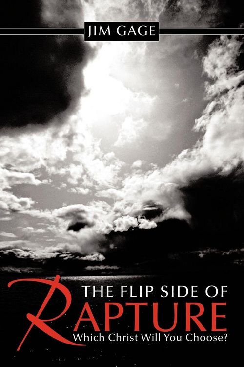 Produktbild: The Flip Side of Rapture