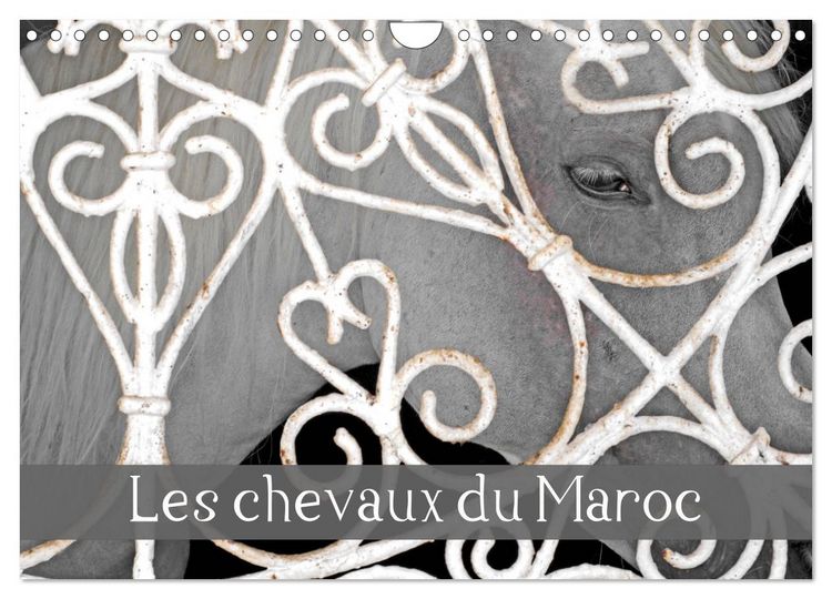 Produktbild: Les chevaux du Maroc (Calendrier mural 2026 DIN A4 vertical), CALVENDO calendrier mensuel