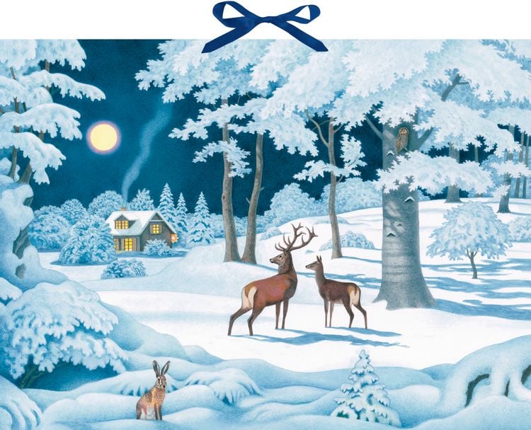 Produktbild: Wand-Adventskalender &ndash; Wintertiere bei Nacht