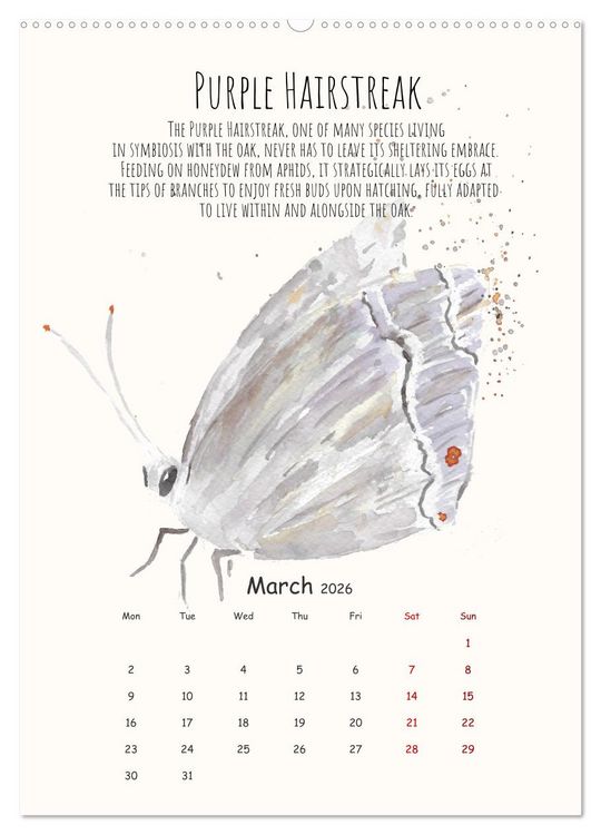Produktbild: Symbiosis, the story of collaborations in nature (High Quality Premium Wall Calendar 2026 DIN A2 portrait),CALVENDO 12 Month Wall Calendar