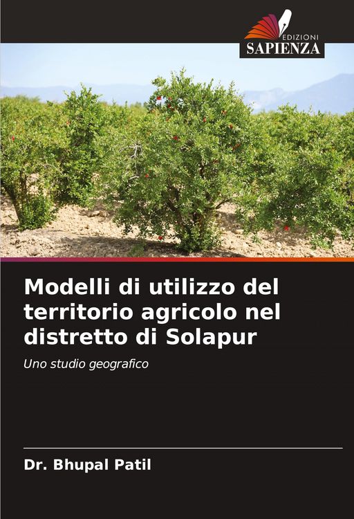 Produktbild: Modelli di utilizzo del territorio agricolo nel distretto di Solapur
