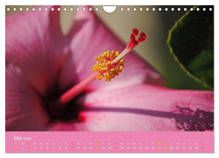 Produktbild: Hawaii Paradies auf Erden (Wandkalender 2026 DIN A4 quer), CALVENDO Monatskalender