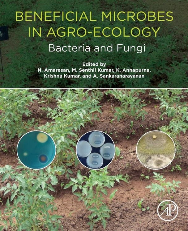 Produktbild: Beneficial Microbes in Agro-Ecology