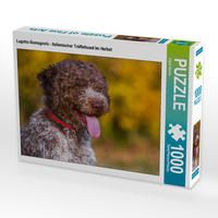 Produktbild: CALVENDO Puzzle Lagotto Romagnolo - Italienischer Tr&uuml;ffelhund im Herbst 1000 Teile Lege-Gr&ouml;&szlig;e 64 x 48 cm Foto-Puzzle Bild von Sigrid Starick