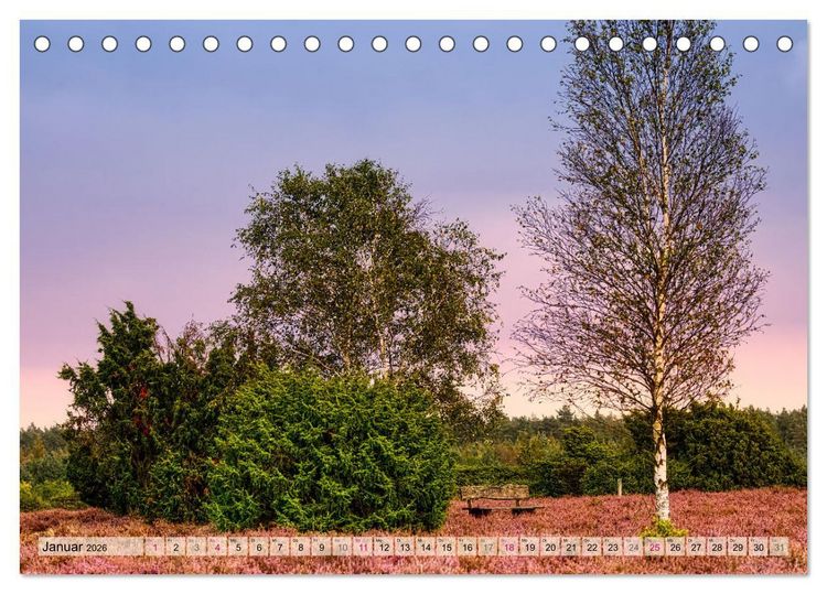 Produktbild: L&uuml;neburger S&uuml;dheide (Tischkalender 2026 DIN A5 quer), CALVENDO Monatskalender