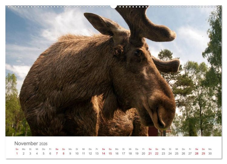 Produktbild: Nordisch gut - Schweden (Wandkalender 2026 DIN A2 quer), CALVENDO Monatskalender