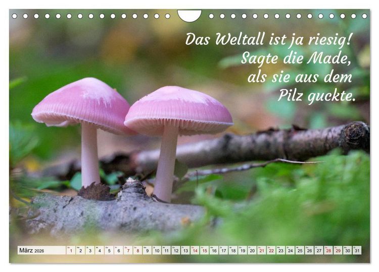 Produktbild: Junge, was hast du`s eilig (Wandkalender 2026 DIN A4 quer), CALVENDO Monatskalender