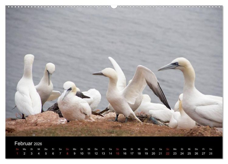 Produktbild: Helgoland - idyllische Nordseeinsel (hochwertiger Premium Wandkalender 2026 DIN A2 quer), Kunstdruck in Hochglanz