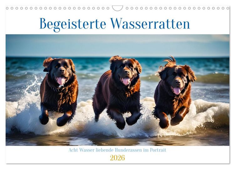 Produktbild: Begeisterte Wasserratten (Wandkalender 2026 DIN A3 quer), CALVENDO Monatskalender